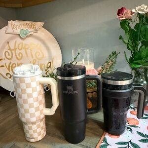 Stanley and Simple Modern Tumblers Set